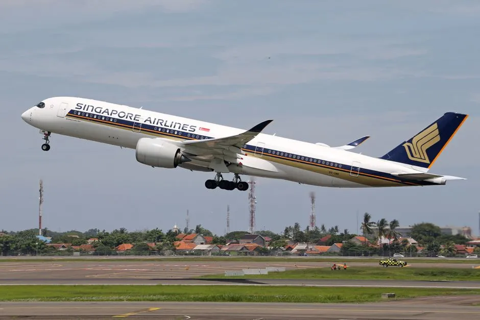 Do You Need a Degree to Be a Pilot? What Airlines Expect